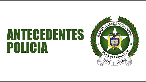 CONSULTA DE ANTECEDENTES JUDICIALES POR INTERNET